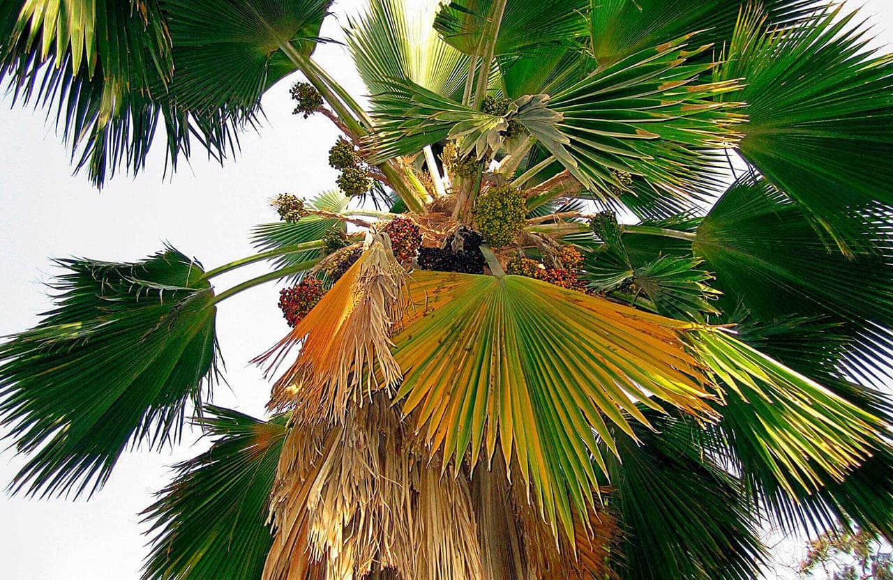 Excursions nature en Casamance depuis Cap Skirring